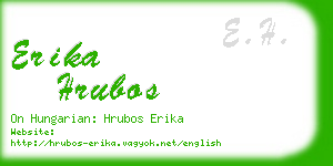 erika hrubos business card